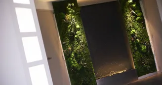 Hôtel du Parc - Mur Végétal_11