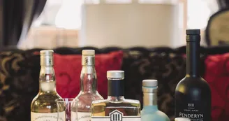 Hôtel saint-Pierre - bar whisky_21