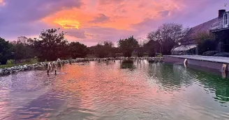 Piscine en eau naturelle 