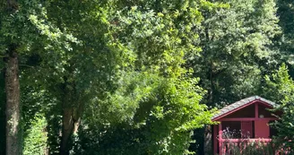 photo camping 8724 (13)