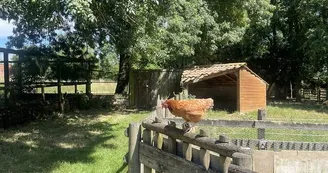animaux-ferme-pedagogique-turmeliere-lire
