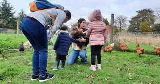 animaux-poule-automne-ferme-pedagogique-turmeliere-lire-oa-osezmauges-©MMinard (1)