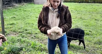 automne-ferme-pedagogique-turmeliere-lire-oa-osezmauges-©MMinard (12)