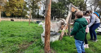 automne-ferme-pedagogique-turmeliere-lire-oa-osezmauges-©MMinard (33)