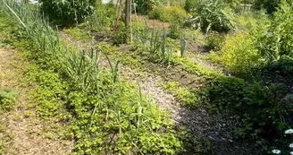 ferme-pedagogique-turmeliere-lire