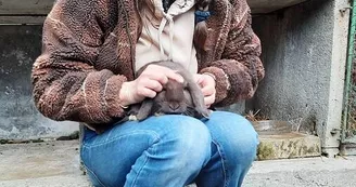 lapin-automne-ferme-pedagogique-turmeliere-lire-oa-osezmauges-animaux