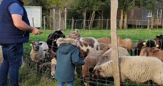 visite-a-la-ferme-la-guyonniere-visite-accompagnée