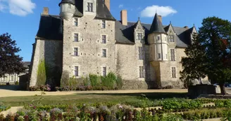 PCU49-chateau-de-baugé-1