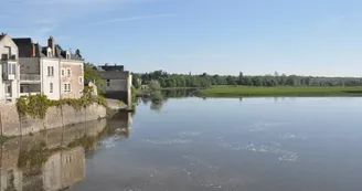 Ingrandes - Crédit photo Claire Pothier (17)