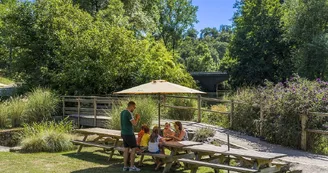 la-ruche-de-mary-saint-andre-de-la-marche-sev-ete-2022-espace-pique-nique-moine©FrançoisCrampon (5)