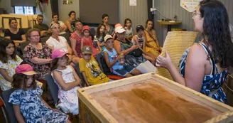 la-ruche-de-mary-saint-andre-de-la-marche-sev-ete-2022-extraction-miel©FrançoisCrampon (4)