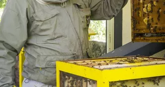 la-ruche-de-mary-saint-andre-de-la-marche-sev-ete-2022-kiosque-abeille-apiculteur-visite-guidee©FrançoisCrampon (11)