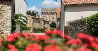 aubigné-sur-layon-Web-photo©sebastien gaudard (11)