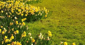 st-macaire-en-mauges-villages-villes-fleuris-anjou-nantes-cholet