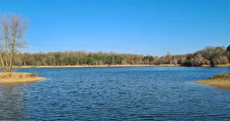 Etang de Vivy