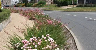 Saint_Michel_et_Chanvaux_mairie-49-PCU-photo2