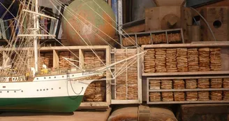 Richard Rak cabinet de curiosités 2025