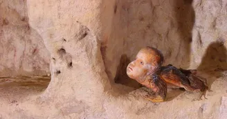 manoir-caillere-oeuvre-homme-crapaud-800-64373-1273611