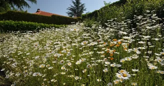 espace-bikini-st-crespin-sur-moine-nantes-cholet-anjou-osezmauges