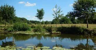 riviere-nature-st-crespin-sur-moine-anjou-nantes-cholet-osezmauges