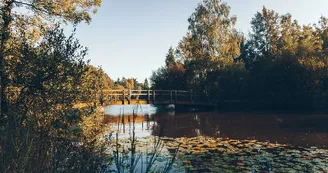 Étang de la Foucaudière