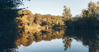 Étang de la Foucaudière