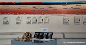 Espace Préhistoire André Debénath