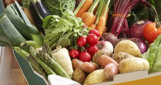 Marché de Saint André de Lidon