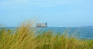 Plage des Saumonards