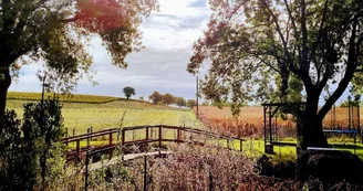 Quessada David - Les Roses de Jonzac - Roulotte Pharaon