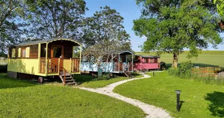 Quessada David - Les Roses de Jonzac - Roulotte Pharaon