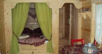 Les insolites du pinier