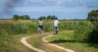 Fat Sand Bikes 17 - Ronce-les-Bains