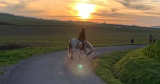 Les petites écuries de Genac