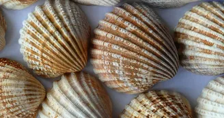 Accueil pèlerins à l'Abbaye Saint Marie de Maumont