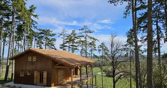 Cottage des pins - chalet dans les vignes