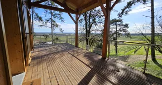 Cottage des pins - chalet dans les vignes