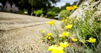 Aire de pique-nique lavoir des Touches