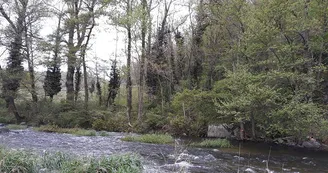 Domaine Camping les Roches