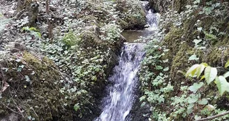 Domaine Camping les Roches