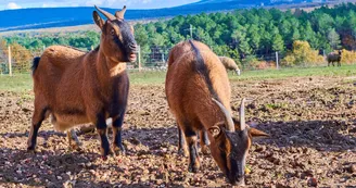 Domaine de l'Astic - Gite de groupes
