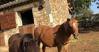 Domaine de l'Astic - Gite de groupes