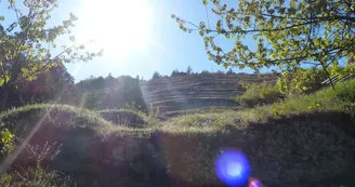 Domaine de la Côte Ste Epine