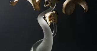 Atelier 120 / Verriers contemporains - Jean Marie Legoff