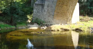 Pont du Roi