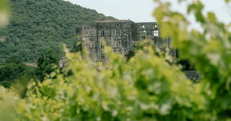 Alba-la-Romaine : village de caractère