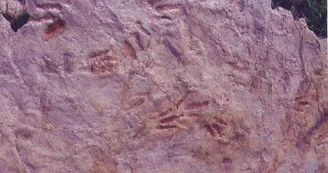 Sur les traces des premiers dinosaures
