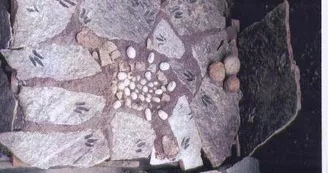 Sur les traces des premiers dinosaures