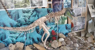 Sur les traces des premiers dinosaures