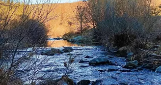 Centre de vacances Mont Gerbier de Jonc - Gîte de groupe - A.E.P